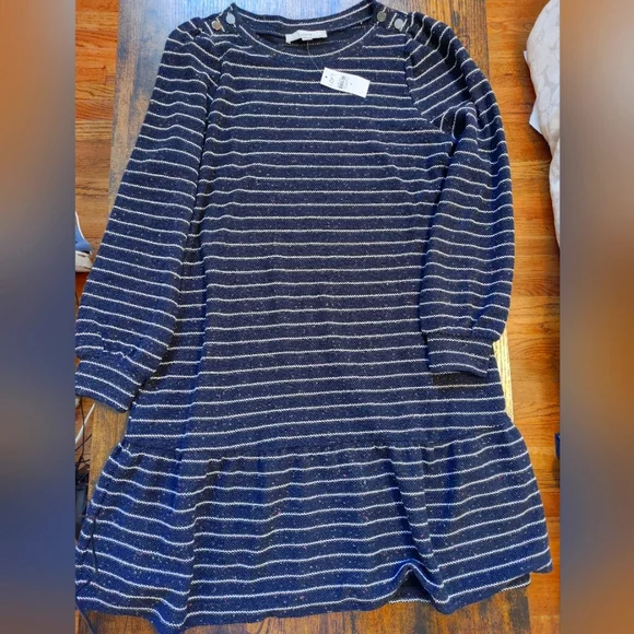 New! Ann Taylor LOFT Navy Drop Waist Dress Size M